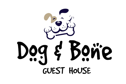 dog and bone guest house logo