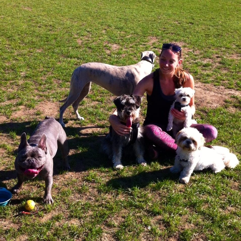 myself with 5 dogs sitting on the grass dog and bone guest house