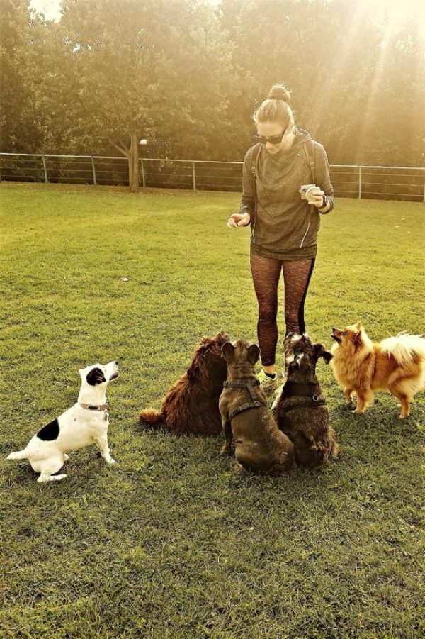 me with 5 doggies all sitting at my feet obediently