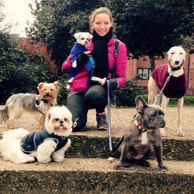 me sitting on steps with 5 dogs sitting with me and looking at camera